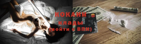 шишки Белокуриха