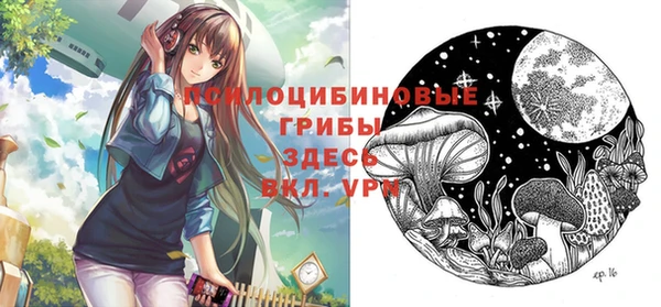индика Семилуки