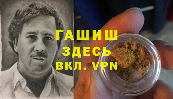 индика Семилуки