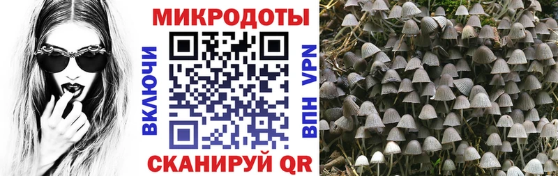 Псилоцибиновые грибы Psilocybe  shop формула  Сланцы 